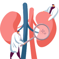 Nephrologist (Kidney)
