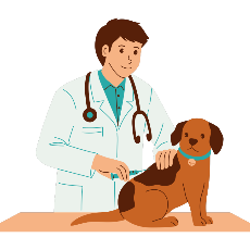 Veterinary 